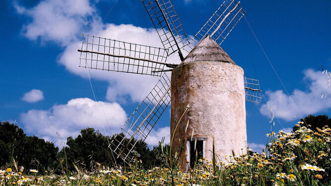 Unos de los &uacute;ltimos molinos de harina en activo en Formentera fue el Mol&iacute; Vell, construido en 1778. Figura en una portada de un disco de Pink Floyd.