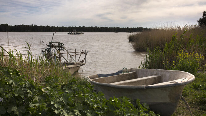 El río Guadalquivir, en una imagen tomada desde la orilla contraria a Lebrija.
