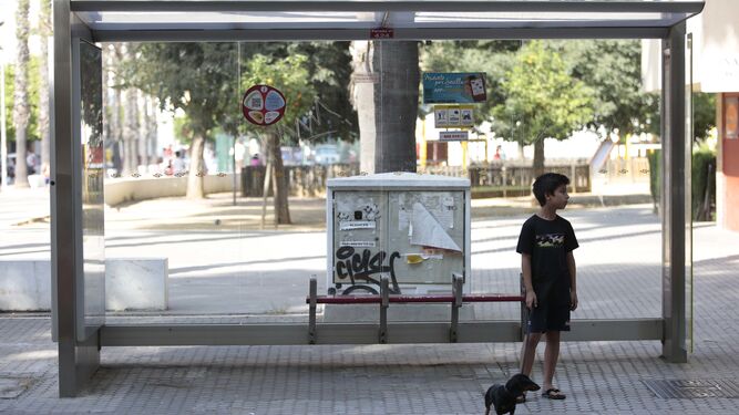 Un niño con su perro amarrado espera en una parada de Tussam.