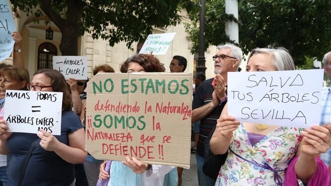 Protesta en la Plaza Nueva contra la tala de &aacute;rboles