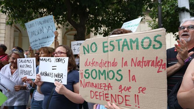 Protesta en la Plaza Nueva contra la tala de &aacute;rboles