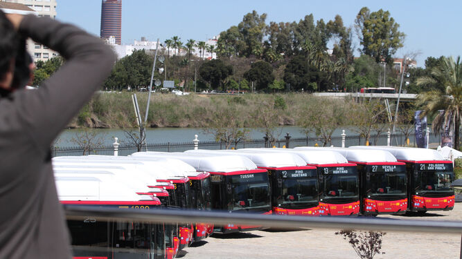 Algunos de los últimos autobuses incorporados a la flota de Tussam.