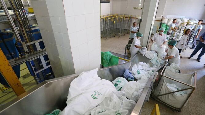 Trabajadoras de la lavandería en el proceso de selección de la ropa sucia.