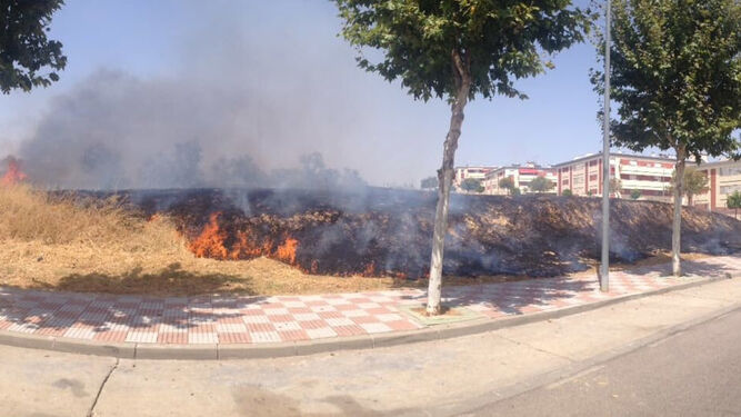 Un incendio de pastos en Tomares, en una imagen de @EmergenciasT.