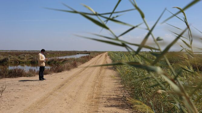 Dentro de la ruta del arroz en Sevilla: finca Veta la Palma
