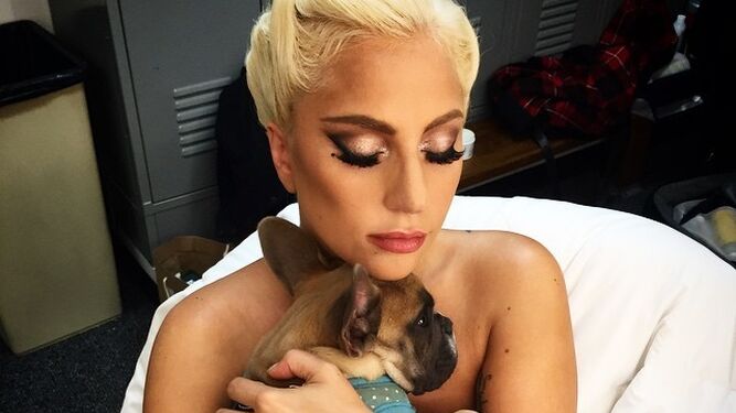 Lady Gaga con uno de sus perritos.
