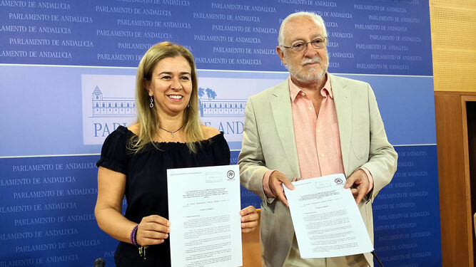 Los diputados del PP-A Teresa Ruiz-Sillero y Jaime Raynaud presentan el plan de trabajos de la comisión de la Faffe.