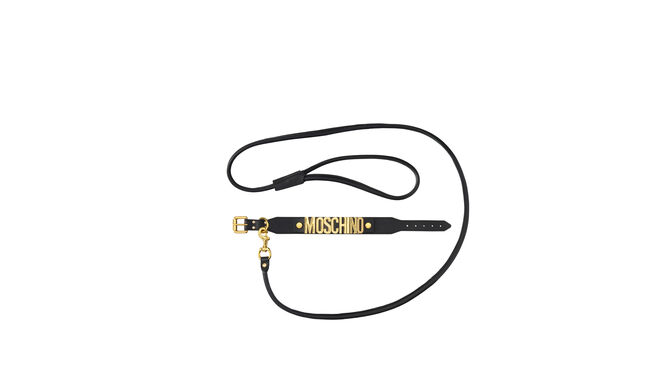 Correa de piel negra con logo dorado de Moschino tv H&amp;M 99 EUR