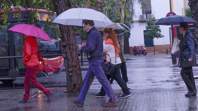Viandantes se protegen de la lluvia en Sevilla.