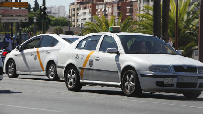 Dos taxis circulan por una calle de Sevilla.