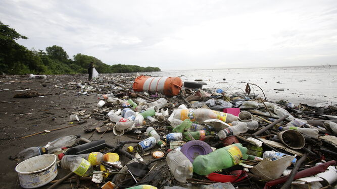 Residuos plásticos en una playa.