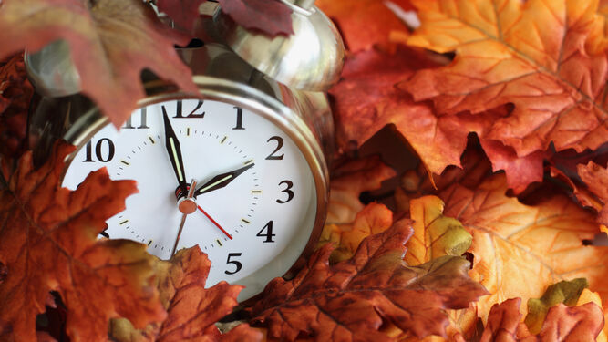 Un reloj marca las 02:00 entre varias hojas caducas.