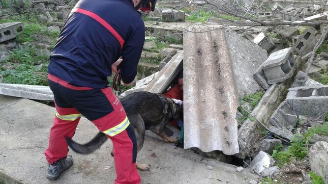 Un bombero de la Unidad Canina de Rescate, con su perro.
