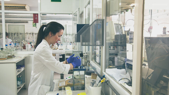 Una trabajadora de la cooperativa andaluza Dcoop trabaja en uno de sus laboratorios.