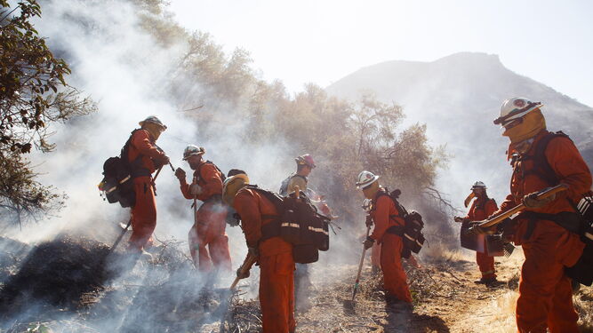 Varios bomberos trabajan en la extinción de las llamas en West Hills, California.