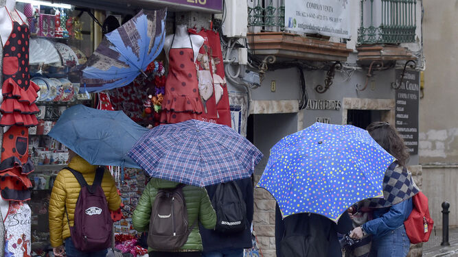 Las fuertes lluvias en Sevilla, en im&aacute;genes