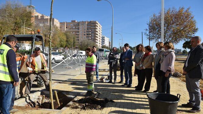 Plantación de árboles en la avenida Flota de Indias de Sevilla