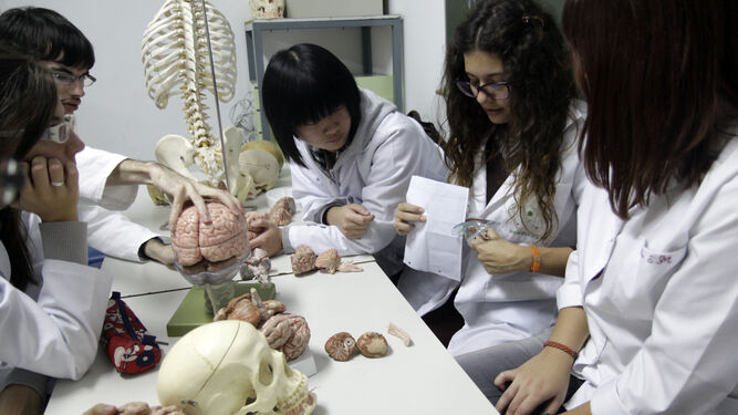 Varias mujeres en una clase práctica en la Facultad de Medicina.