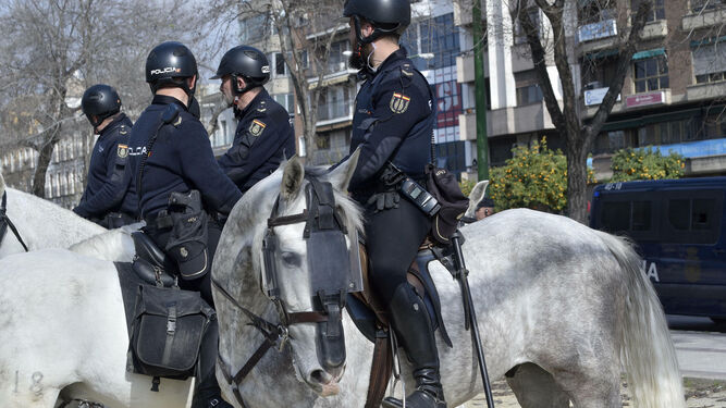 Las fuerzas de seguridad desplegadas para los partidos europeos.