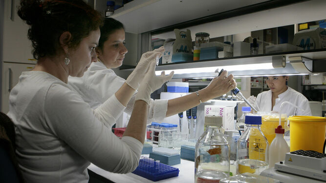 Científicos en el Laboratorio del IBIS.