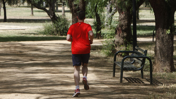 Un hombre corre por el Parque Amate.