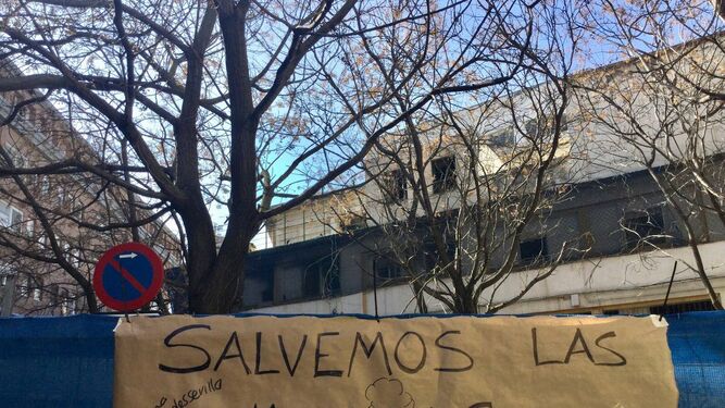 Cartel de protesta junto a los árboles de la plaza del antiguo Mercado de la Puerta de la Carne.
