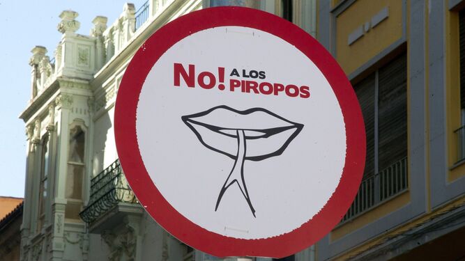 Iniciativa contra el machismo en Zamora con carteles de "no a los piropos", "no a los mirones" y "no a los sobones".