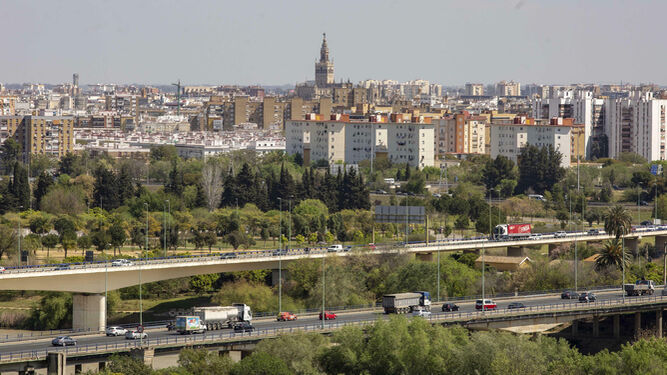 El papel del arbolado en Sevilla, clave para desafiar el cambio clim&aacute;tico