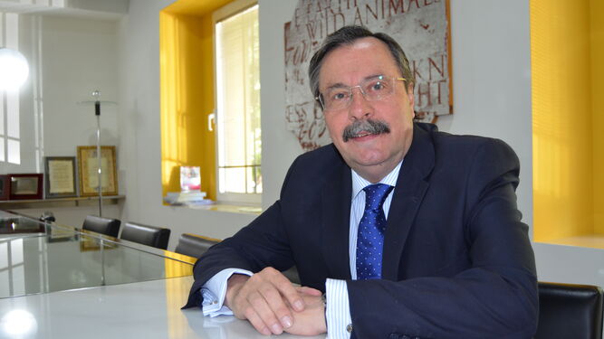 Luis Cáceres, presidente del Consejo Andaluz de Dentistas.