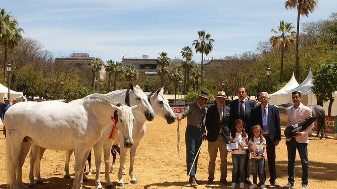 Los ganadores del concurso morfológico de caballos de pura raza española.