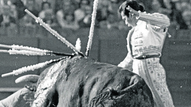 Arrebatado Curro toreando con la diestra al toro del triunfo, uno más de Benítez Cubero en sus principios.