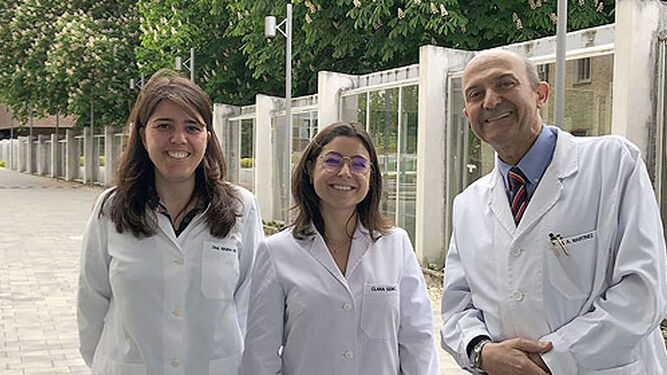 Maira Bes, Clara Gómez, y Miguel Ángel Martínez, del departamento de Medicina Preventiva y Salud Pública de la Universidad de Navarra.