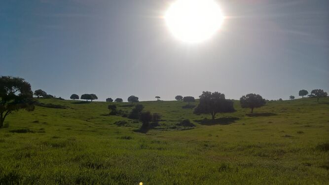 Hermosas praderas camino de Castilblanco.