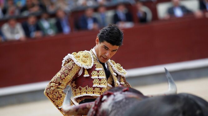 Pablo Aguado citando al toro que le hirió el domingo en Las Ventas.