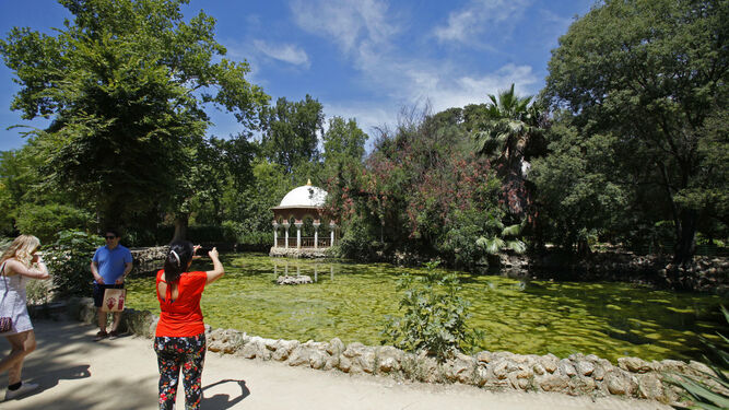Unos turistas hacen fotos al estanque que aparece cubierto de algas.
