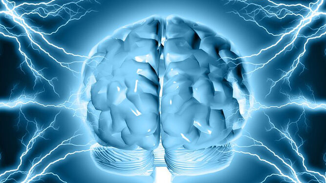 La epilepsia es un trastorno del sistema nervioso central.