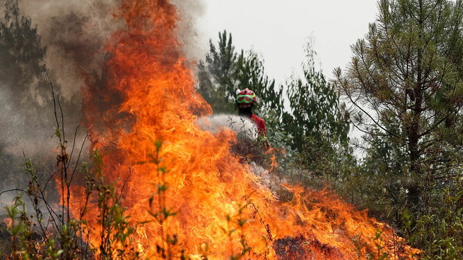 La extinci&oacute;n del incendio del centro de Portugal, en im&aacute;genes