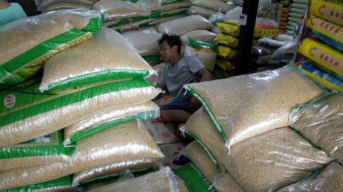 Un trabajador chino descansa entre montañas de bolsas de granos de soja