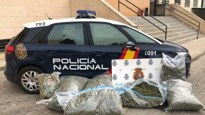 Cogollos de marihuana ante un patrullero de la Policía Nacional, en una imagen de archivo.