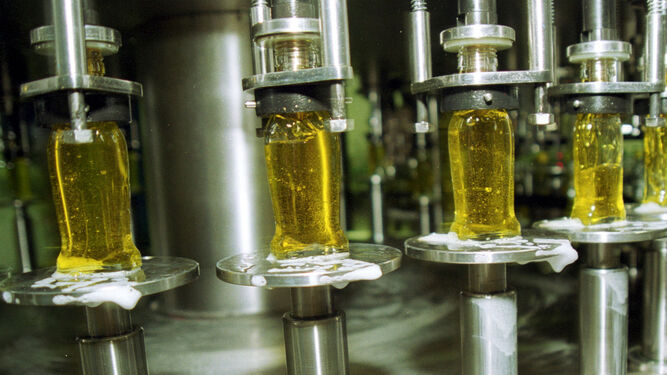 Proceso de envasado del aceite de oliva de gran calidad.
