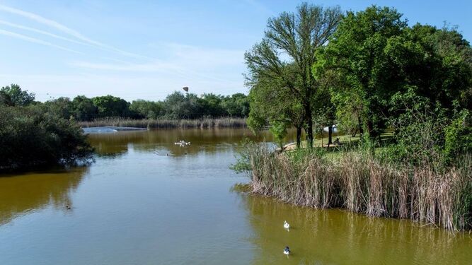 Ruta Turquesa: en el Parque del Alamillo.&nbsp;En la foto, el lago mayor del parque.