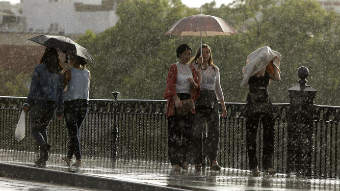 Varias personas se protegen de la lluvia, este sábado en Sevilla