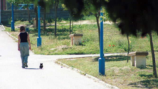 Una joven pasea a su perro por el parque Los Pinos de Montequinto, donde fue detenido J.R.M. por tráfico de drogas.