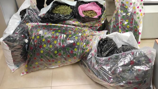 Los 43 kilos de cogollos de marihuana incautados en El Palmar de Troya.
