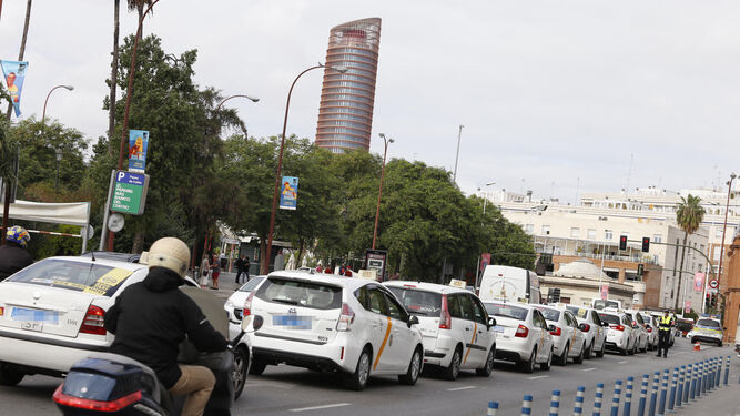 Parte de la caravana de taxis que han participado en la protesta por las calles de Sevilla.