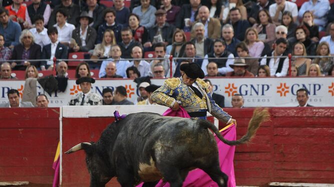 Morante, en una chicuelina ante su segundo toro, al que cortó una oreja en La México.