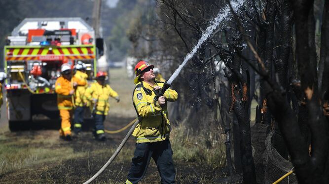 Los brutales efectos de los incendios en Australia