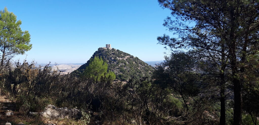 Excursi&oacute;n al Castillo de Cote, en Montellano