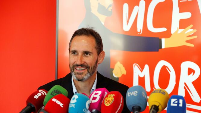 Vicente Moreno, entrenador del Mallorca.