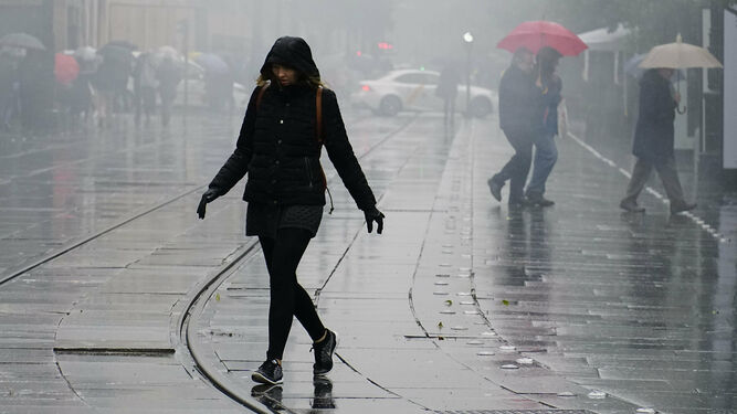 Una joven cruza la Avenida de la Constitución un día de lluvia y niebla en Sevila.